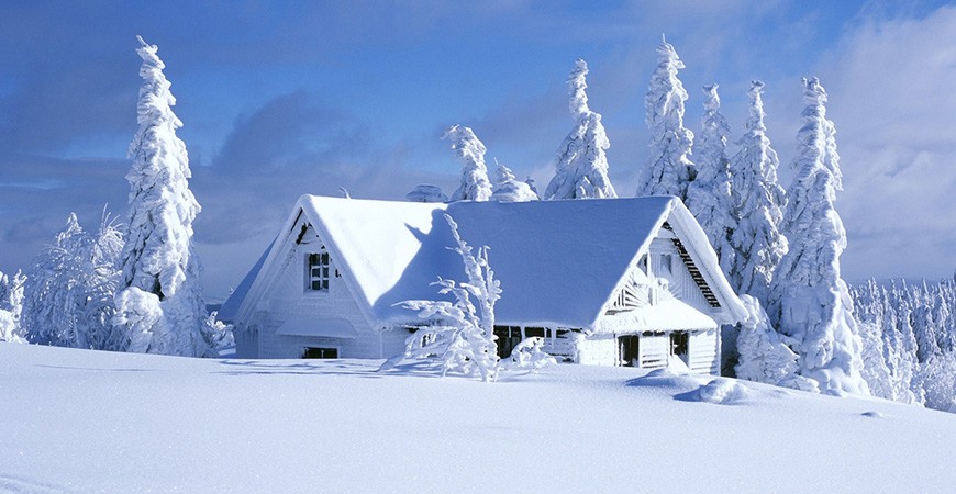 Argumente pro si contra achizitionarii unei centrale termice pe lemne
