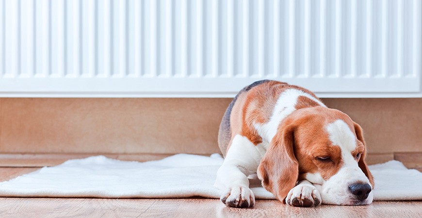 11 recomandari pentru intretinerea unei centrale termice